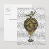 Carte Postale Femme de ballon à air chaud 1 (Devant / Derrière)