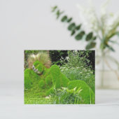 Carte Postale Femme d'herbe (Debout devant)