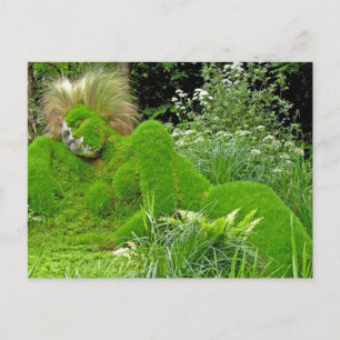 Carte Postale Femme d'herbe