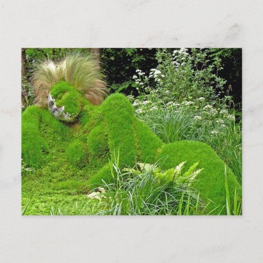 Carte Postale Femme d'herbe (Devant)