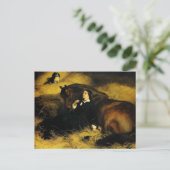 Carte Postale Femme et Cheval (Debout devant)