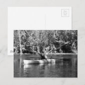 Carte Postale femme kayak (Devant / Derrière)