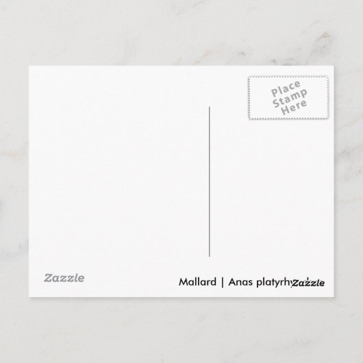 Carte Postale Femme Mallard (Dos)