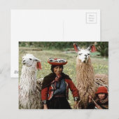 Carte Postale Femme quechua avec deux lamas Photo (Devant / Derrière)