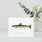 Carte Postale Femme Saumon ou Quaniche (Debout devant)