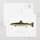 Carte Postale Femme Saumon ou Quaniche (Devant / Derrière)