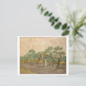 Carte Postale Femmes cueillant des olives (F655) Van Gogh Art (Debout devant)