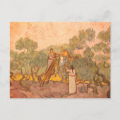 Carte Postale Femmes cueillant des olives par van Gogh : (Devant)