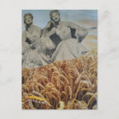 Carte Postale Femmes rétro chantant dans un champ de blé Collage (Devant)