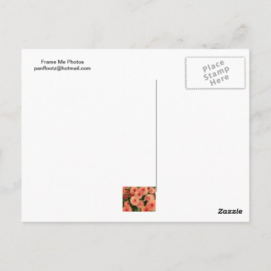 Carte Postale FEMMES saumons (Dos)