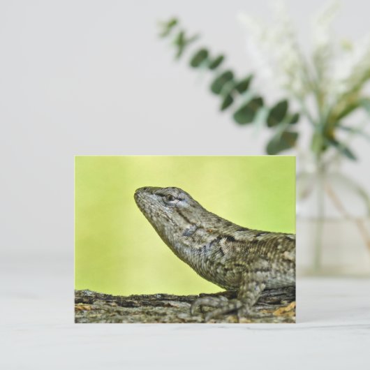 Carte postale Fence Lizard. (Debout devant)
