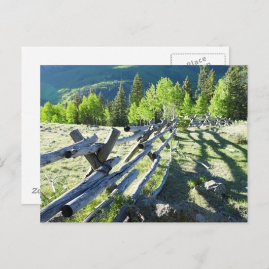 Carte Postale Fenceline en bois (Devant / Derrière)