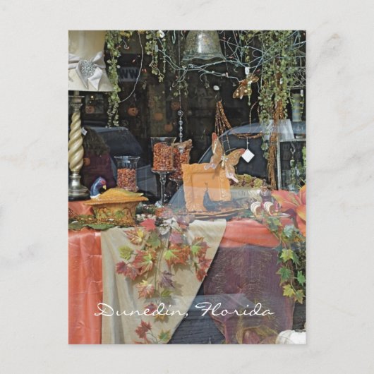 Carte Postale Fenêtre Boutique cadeaux - Dunedin (Devant)
