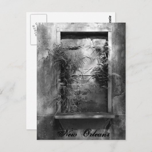 Carte Postale Fenêtre embarquée (Devant / Derrière)