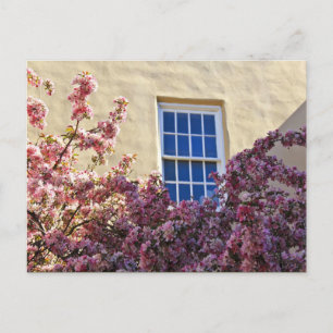 Carte Postale Fenêtre et fleurs