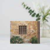 Carte Postale Fenêtre et mur de pierre ancienne, Pienza, Italie (Debout devant)