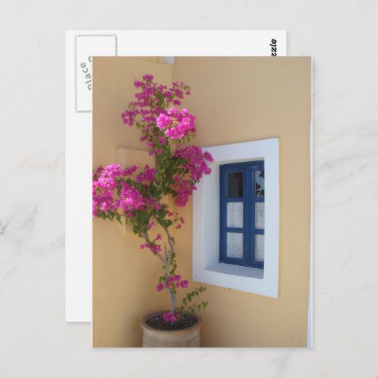 Carte Postale Fenêtre Santorin (Devant / Derrière)