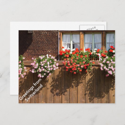 Carte Postale Fenêtres fleuries suisses (Devant / Derrière)