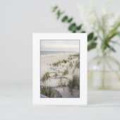 Carte postale 'Fentes avec Dunes d'Herbe' (Debout devant)