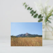 Carte Postale Fer plat (Debout devant)