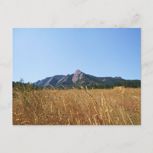 Carte Postale Fer plat (Devant)