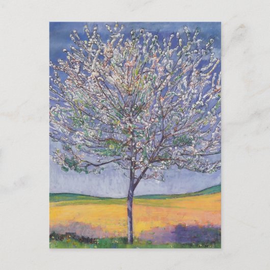 Carte Postale Ferdinand Hodler - Cerisier en fleurs (Devant)