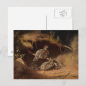 Carte Postale Ferdinand von Wright - Déchets de bruyère (Devant / Derrière)
