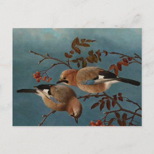 Carte Postale Ferdinand von Wright - Geais (Devant)