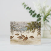 Carte Postale Ferdinand von Wright - Partriers En Neige (Debout devant)