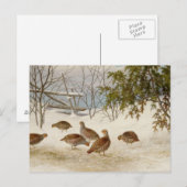 Carte Postale Ferdinand von Wright - Partriers En Neige (Devant / Derrière)