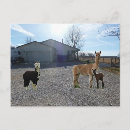 Carte Postale Ferme (Devant)