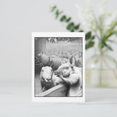 Carte Postale Ferme animale - Squealer (Debout devant)