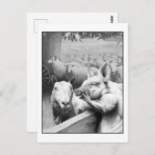 Carte Postale Ferme animale - Squealer (Devant / Derrière)