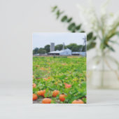 Carte Postale Ferme citrouille (Debout devant)