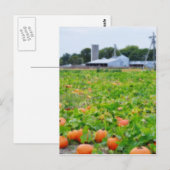 Carte Postale Ferme citrouille (Devant / Derrière)