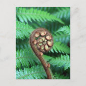 Carte Postale Ferme d'arbre (Devant)