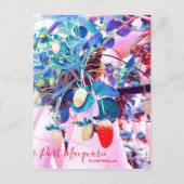 Carte Postale Ferme de fraises Port Macquarie Australie (Devant)