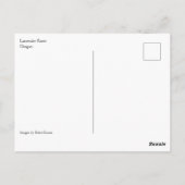 Carte Postale Ferme de Lavender (Dos)