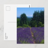 Carte Postale Ferme de Lavender (Devant / Derrière)