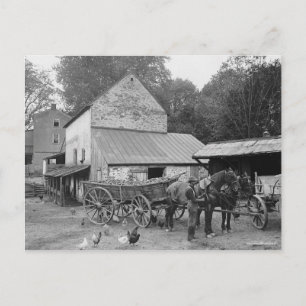 Carte Postale Ferme de Pennsylvanie, 1906