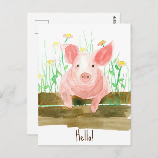 Carte Postale Ferme de porcs Animaux Barnyard Fleurs sauvages de (Devant / Derrière)