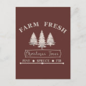 Carte Postale Ferme des arbres de Noël frais (Devant)