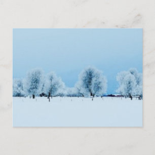 Carte Postale Ferme d'hiver