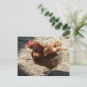 Carte Postale Ferme d'usine Hen (Debout devant)