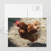 Carte Postale Ferme d'usine Hen (Devant / Derrière)