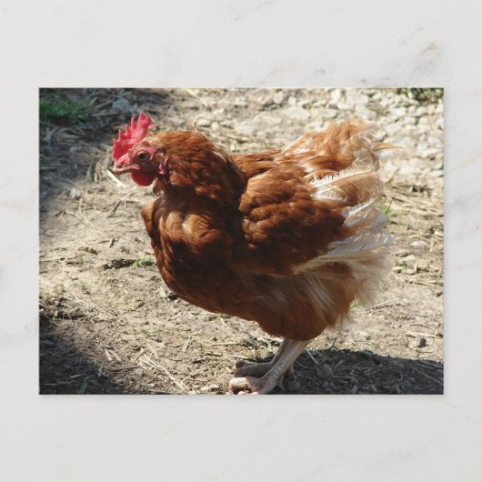 Carte Postale Ferme d'usine Hen (Devant)