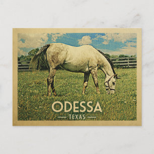 Carte Postale Ferme équestre d'Odessa Texas - Voyage Vintage