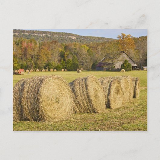 Carte Postale Ferme historique en rivière nationale de Buffalo, (Devant)