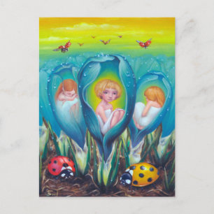 Carte Postale Ferme Pixie