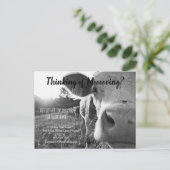 Carte Postale ferme vache référencement immobilier marketing ven (Debout devant)